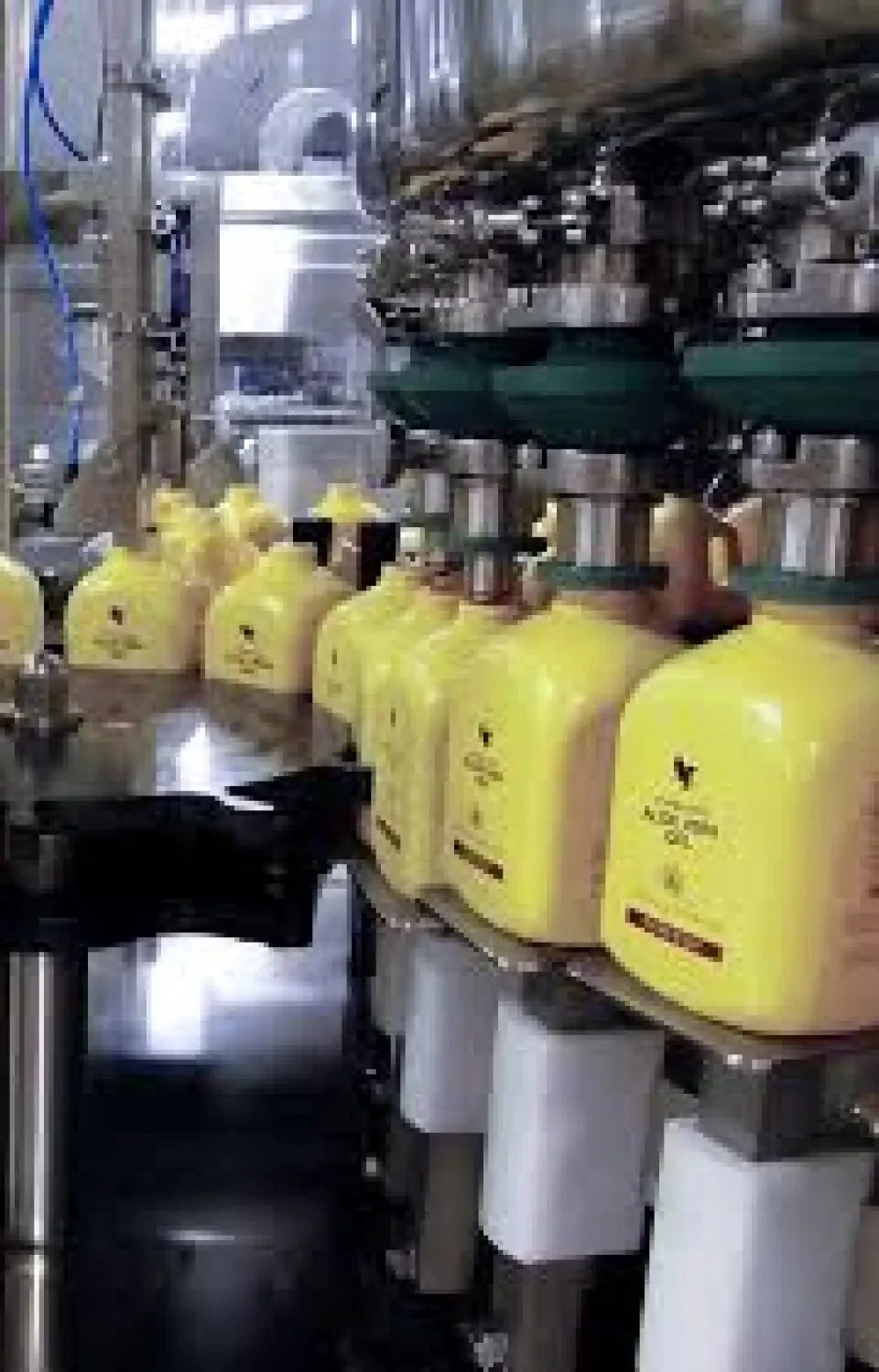 Не всі напої з Алое Вера однаково корисні - технологія виробництва має вирішальне значення