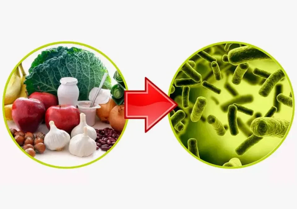 Пробіотик і пребіотик — основа  здорового кишківника