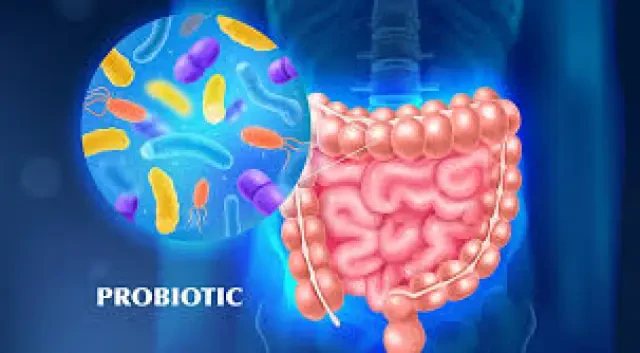 пробіотик і пребіотик